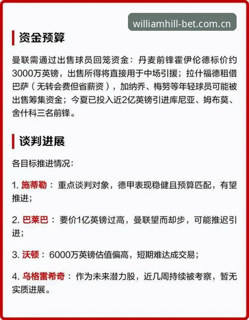 中场引援深度解析：曼联双核交易实用指南